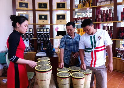 Visitors at Dang Le coffee tour center (Photo: SGGP)